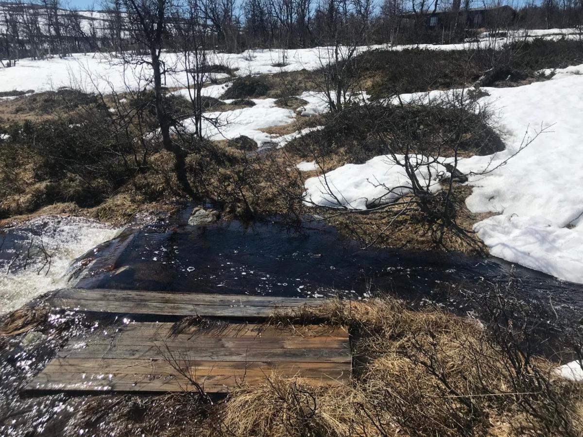 Berntebu Villa Uvdal Kültér fotó